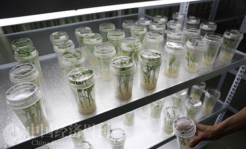 生物制造將成為新增長引擎＂
